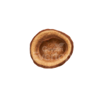 Ceylon Evertop.zip – 38
