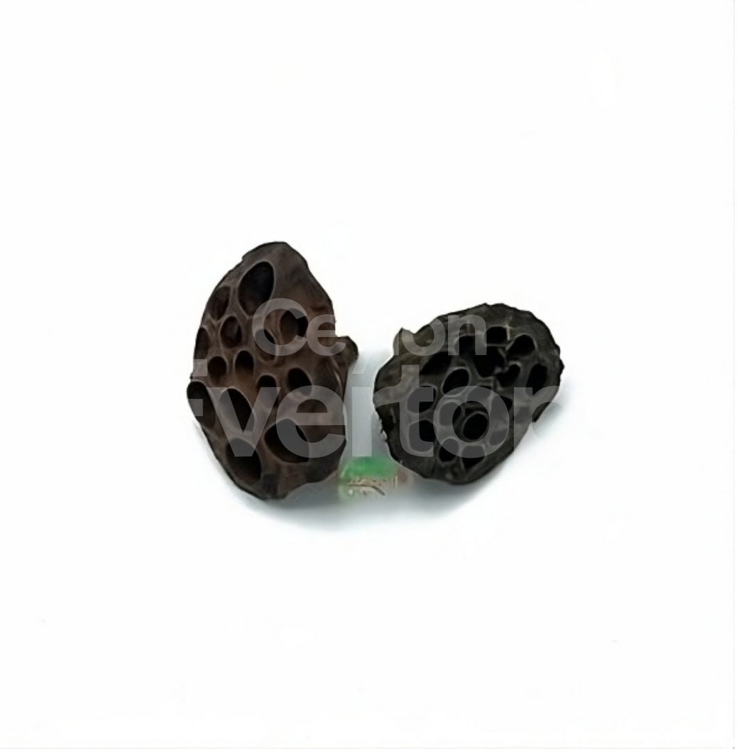 Ceylon Evertop.zip - 5