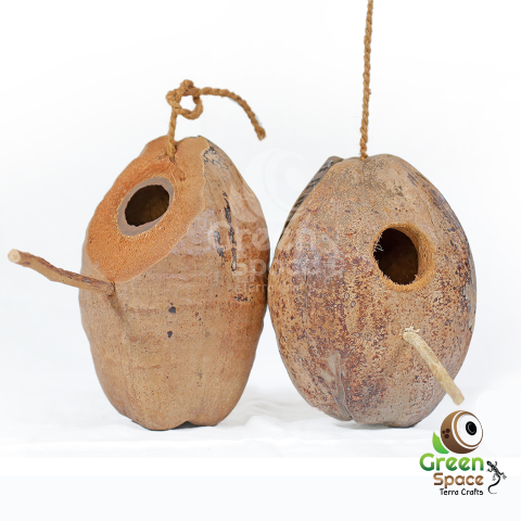 coco bird nest